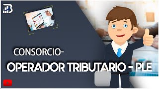 ¿CÓMO FUNCIONA UN CONSORCIO ¿QUÉ ES UN CONSORCIO APLICACIÓN PRÁCTICA EN EL PLE [upl. by Chobot]