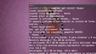 ELIMINAR ARCHIVOS DUPLICADOS CON FSLINT UBUNTU [upl. by Christoph87]