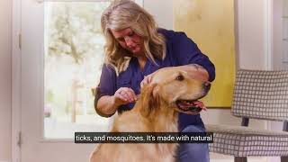 How to Use Wondercide Flea amp Tick Spot On for Dogs  Cats – Made with Natural Essential Oils [upl. by Vanthe]