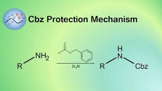 Adding Cbz Protecting Group Mechanism  Organic Chemistry [upl. by Marline400]