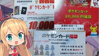 【ポケカ】10000円福袋、開け比べしたら良い店、悪い店が分かる説【ポケモンカード 福袋 開封 VOICEROID】 [upl. by Eniretac]