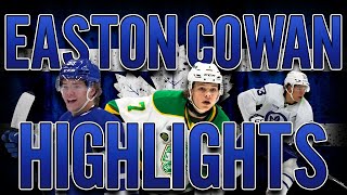 Easton Cowan  Highlights  Toronto Maple Leafs [upl. by Netfa920]