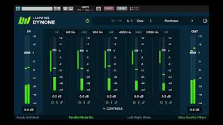 Leapwing DynOne  スマート・パラレル・マルチバンド・ダイナミクス・プロセッサー [upl. by York]