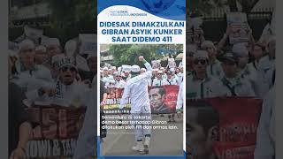 Didemo Massa Habib Rizieq hingga Didesak Dimakzulkan Gibran Pilih Kunker di Kalteng saat Aksi 411 [upl. by Dibbell]