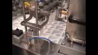 THERMOFORMING MACHINE FOR YOGHURT CUPS [upl. by Becket561]