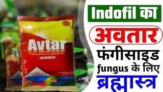 INDOFIL AVTAR  अवतार इन्डोफिल  fungicide  zineb  hexaconacole [upl. by Eillah]