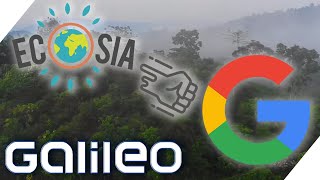 ECOSIA So will die AntiGoogle Firma die Erde grüner machen  Galileo  ProSieben [upl. by Viviyan]