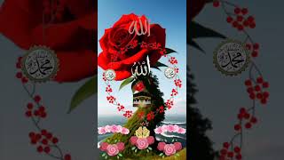 Kiyamot er din  Like share and subscribe to my channel  allah alhamdullilahforeverything [upl. by Ayortal18]