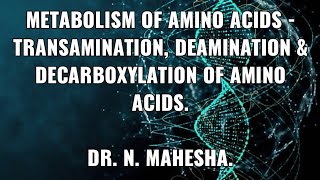 Metabolism of Amino acids  Transamination Deamination amp Decarboxylation of Amino acids [upl. by Razaele131]