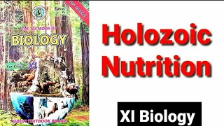 Holozoic Nutrition XI Biology [upl. by Hasen]