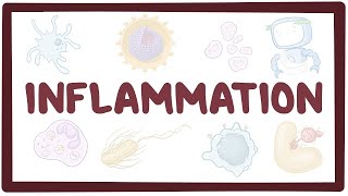 Inflammation  causes symptoms diagnosis treatment pathology [upl. by Perlie157]