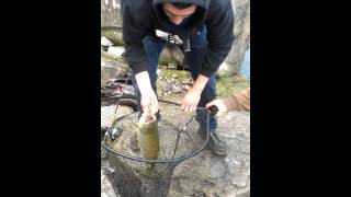 Spring fishing at Whirlpool  Niagara Falls NY [upl. by Alejoa237]