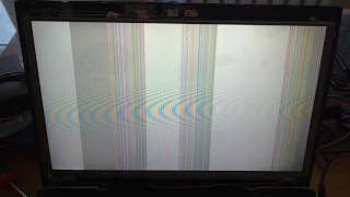 LG Philips LP156WF4 SL B1 screen malfunction [upl. by Nalaf]