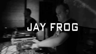 Jay Frog  Nature One 2011 [upl. by Attenrev]