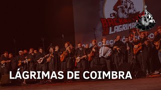 Coral Quecofónico do Cifrão  Lágrimas de Coimbra  IX Lágrimas de Amores [upl. by Yliak824]