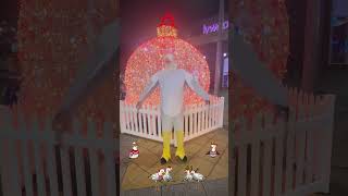 Gavin amp the Jingle Gulls Spotify Announcement gavinthegull christmas christmassong [upl. by Pauwles]