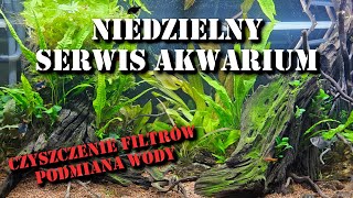 Serwis Akwarium  Czyszczenie filtrów podmiana wody kalibracja Ph wymiana wirnika Ikola 450 [upl. by Garber]