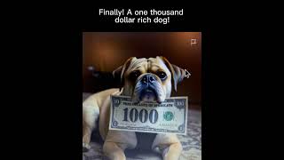 1 dollar dog vs 1000 dollar dog pets money dogs dog trending [upl. by Erlewine]