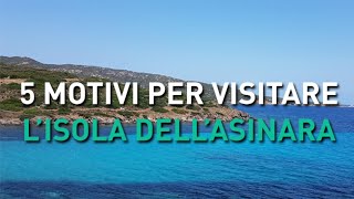 5 motivi per visitare lisola dellAsinara [upl. by Aimerej279]