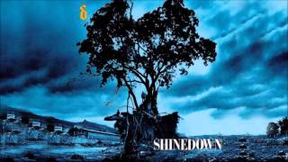 Shinedown  45 [upl. by Goldshlag]