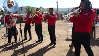 BANDA HERENCIA MIXTECA DE SAN MIGUEL TLACOTEPEC  OAXACA [upl. by Anirrak998]