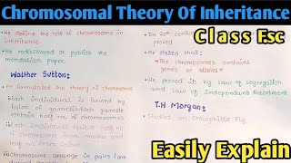 Chromosomal Theory Of Inheritance  Class 12 Biology [upl. by Fletcher589]