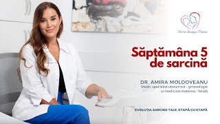 Săptămâna 5 de sarcină I Dr Amira Moldoveanu I Femmeboutiquemedicalcom [upl. by Ocihc]