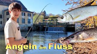 Angeln am Fluss im Herbst  Fischen mit verschiedenen Ködern und Montagen [upl. by Akirahs765]