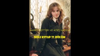 Harry Potter ve Ateş Kadehi  Bölüm 32  En İyi Sesli Kitap [upl. by Marcia]