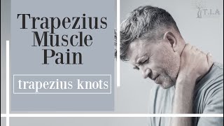 Trapezius Knots  trapezius muscle pain [upl. by Ettezzus715]