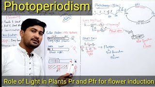 Photoperiodism class 12  photoperiodism in plants  Role of Phytochromes in plants flowering [upl. by Rimaj]