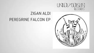 Zigan Aldi  Miracle feat Sandeck UYSR054 [upl. by Nelloc]