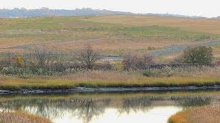 Fresh Kills From Landfill to Park on Staten Island [upl. by Four]