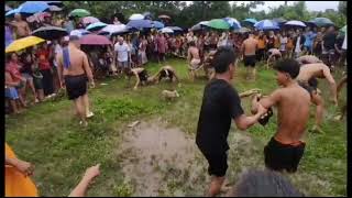 Agawang Biik kapag mahuli mo may panghanda ka sa fiesta Pinagbobong Tabaco City [upl. by Kcirret]