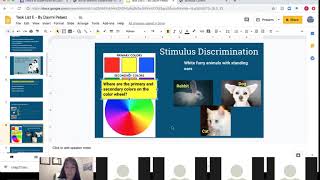 Stimulus amp Response GeneralizationDiscrimination BCBA Task List E Part 1 By Daymi Pelaez [upl. by Adnovay]