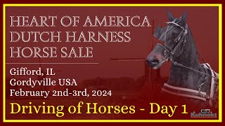 Preview of Sale Horses Day1  2024 Heart of America Dutch Harness Sale [upl. by Anette197]