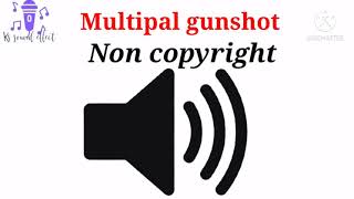 multiple gunshot sound effect [upl. by Antipas815]