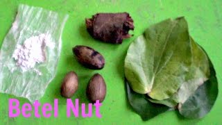 Betel Nut Areca Palm Review  Weird Fruit Explorer Ep 100 [upl. by Anniram]