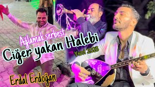 CİĞER YAKAN HALEBİ  Yeni müzik Yeni Ritim 🎵 Erdal Erdoğan  Müzüka Afrin Suriye حلبي عفرين سوريا [upl. by Gregorio836]