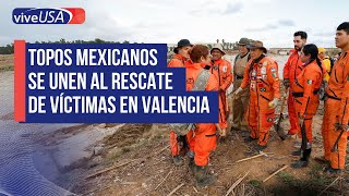 Topos MEXICANOS se unen al RESCATE de víctimas en Valencia [upl. by Keldon930]