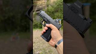 Kimber Carry Compact [upl. by Iviv]