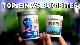 Better Than Bug Bites Top Fin Tropical Fish Crumbles Review [upl. by Attenad278]