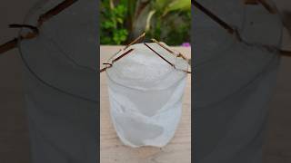 Icy Glass 🥶 With Cola Masala 😱😱 shorts shortsfeed youtubeshorts [upl. by Parthinia]