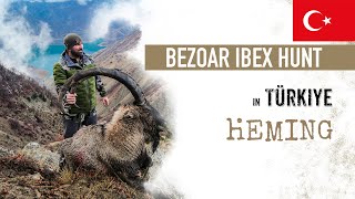 2 WORLD CLASS Bezoar ibex taken in one day 🌿📯 Türkiye 🇹🇷🏔️‼️ [upl. by Bunow]