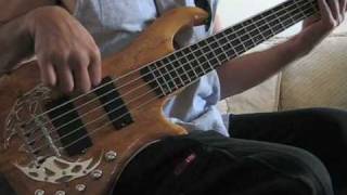 Traben Array Limited 5 Bass [upl. by Gonagle]