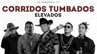 Mix Corridos Tumbados Cristianos Belicos 2023  La Cuarta Tribu X Respaldo X The Byron X Israel V [upl. by Emawk]