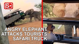 ANGRY ELEPHANT ATTACKS TOURIST TRUCK [upl. by Ulphi657]