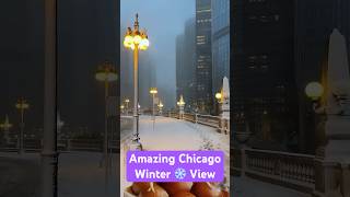 Amazing Chicago Winter View travel snow winter chicago chicagotravel usateluguvlogs usatrip [upl. by Oiredised]