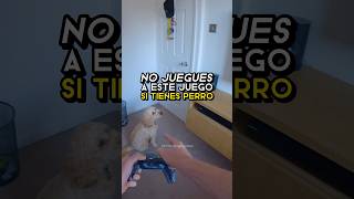 No JUEGUES a ESTO si tienes PERRO 🐕 🚫 juegoscuriosos juegosdeterror gaming [upl. by Sheree]