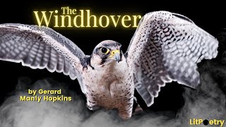 The Windhover by Gerard Manley Hopkins Poetry Analysis Video [upl. by Lletram]